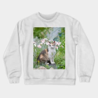 Isabelle Crewneck Sweatshirt